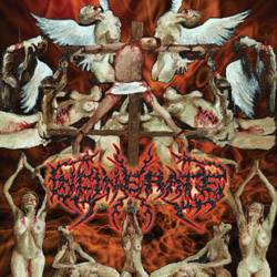 Incinerate (USA-1) : Dissecting the Angels